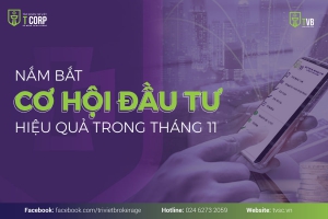 NẮM BẮT CƠ HỘI ĐẦU TƯ HIỆU QUẢ TRONG THÁNG 11